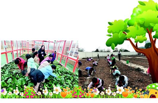 武汉市一些中小学校园里纷纷利用屋顶或闲置土地,开设校园农场,有的